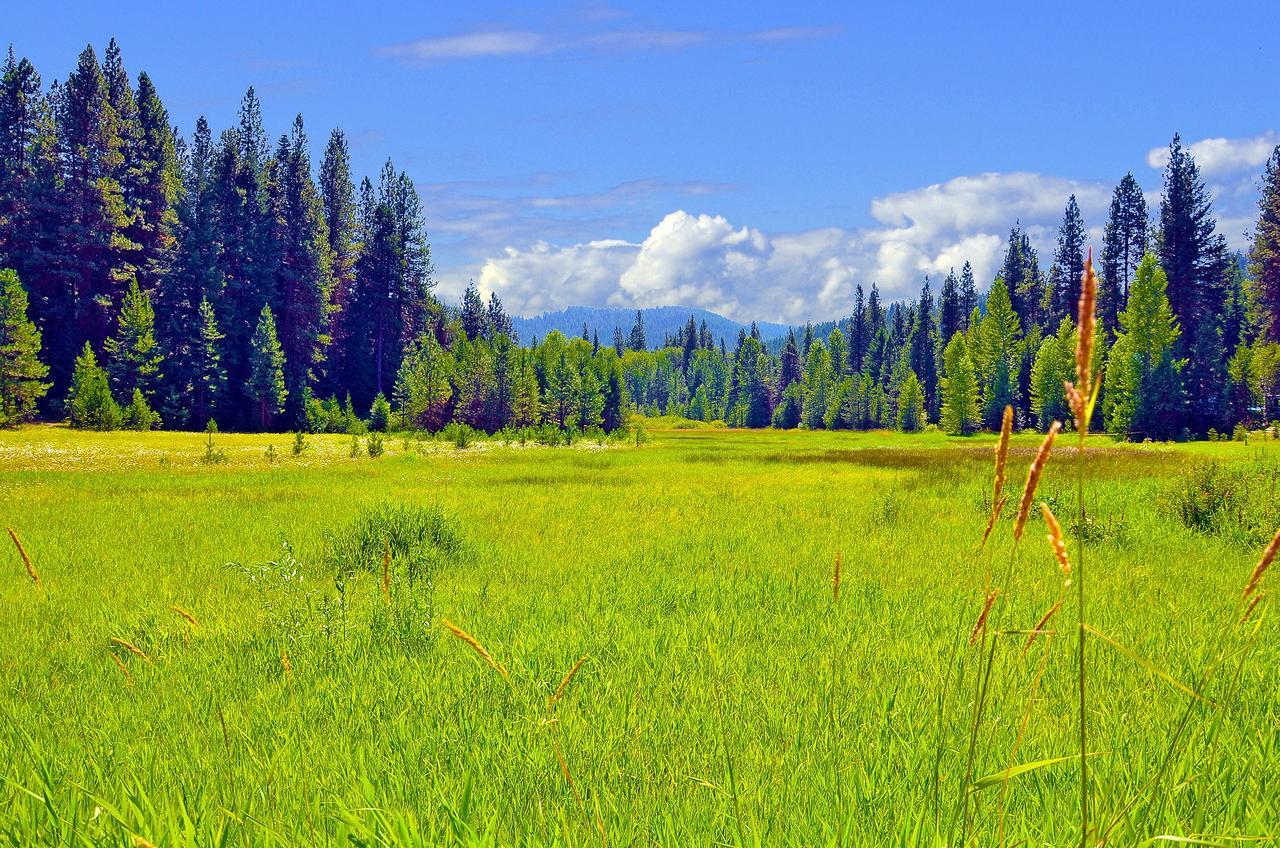 Leavenworth Camping Resort Tiny House Adeline Εξωτερικό φωτογραφία